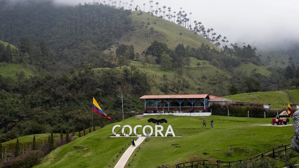 Capturando la Belleza del Valle de Cocora: Un Viaje en Motocicleta